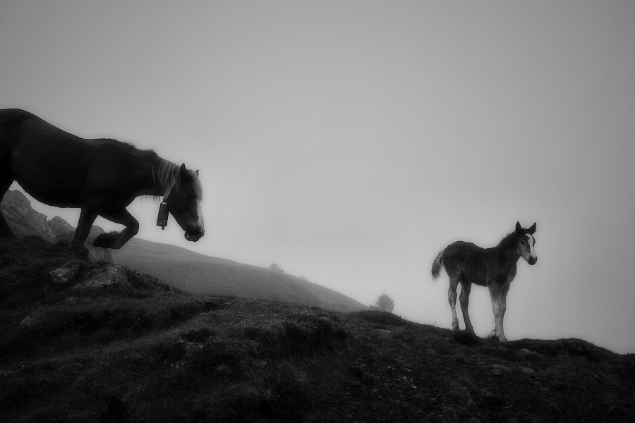 Jo vull que siguis gran...