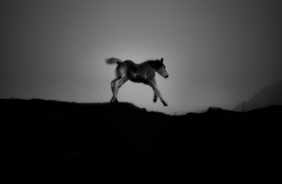 ...i creure'm que volo quan de fet, corro.