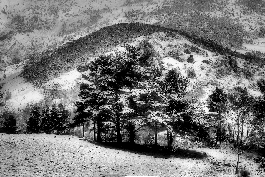 D'un passeig per una primavera hivernal