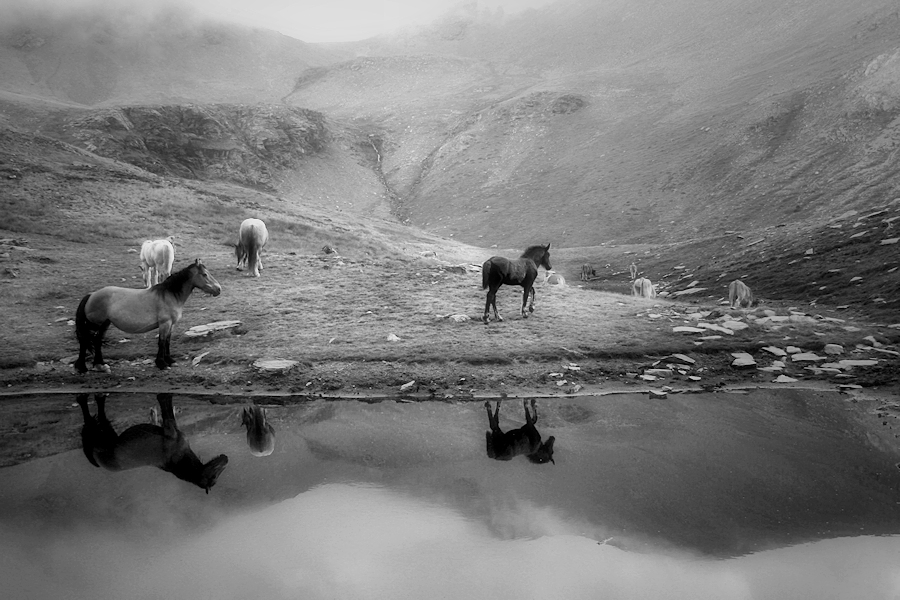 en algun racó del món