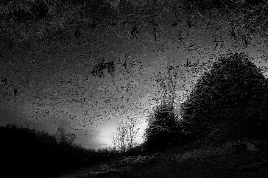 Estany de Can Roca (Pardines)
