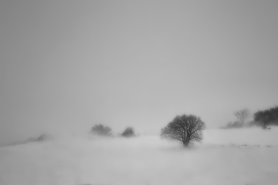 Solitude during the storm