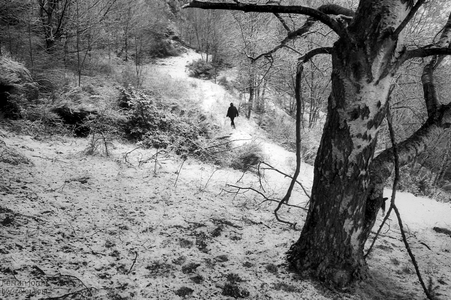  Aquest hivern que ja terminem